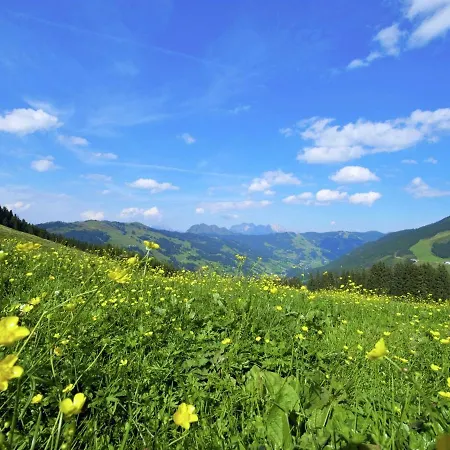 Luxurious Holiday In Hinterglemm With Sauna Saalbach-Hinterglemm